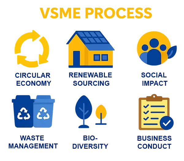 06.5 Sus VSME items overview IBS